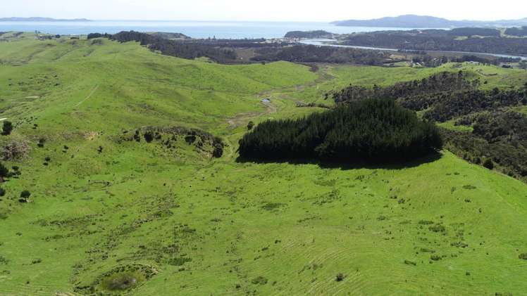 211 Parapara Road Taipa_8