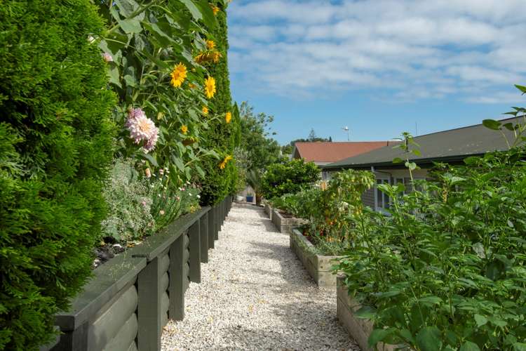 153 Bellevue Road Bellevue_21