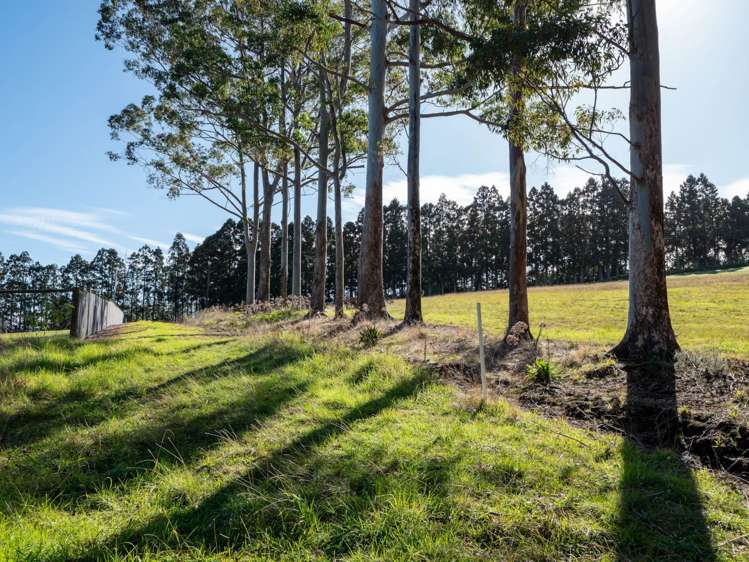 3 Cottle Hill Drive Kerikeri_12