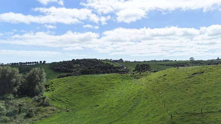 75d Bishop Road Hillsborough_13