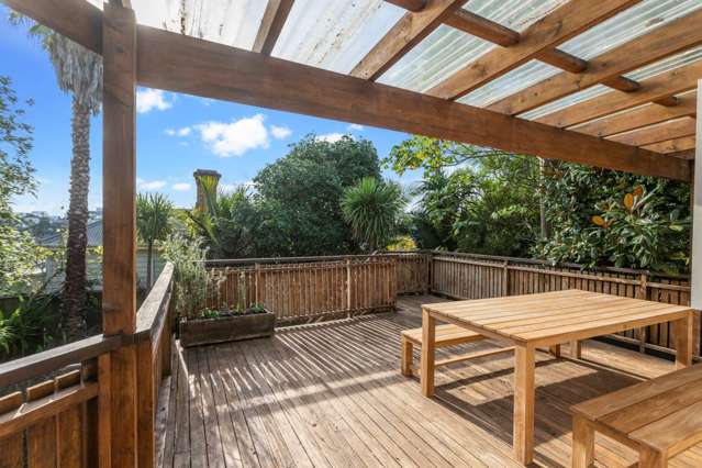 3 Aitken Terrace Kingsland_1