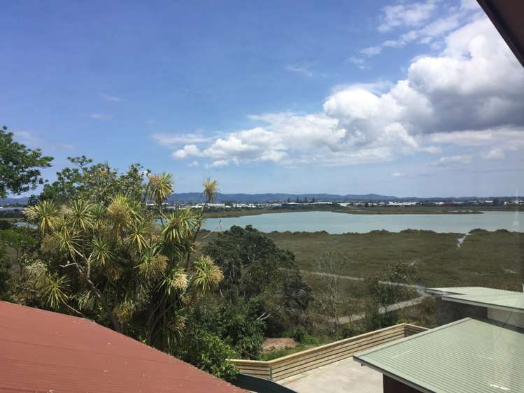 71 Alford Street Waterview_14