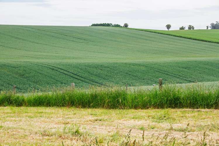 142 Deep Creek Road Waimate_11