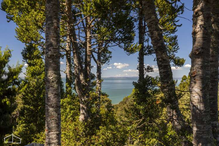 53 Takahe Road Titirangi_18