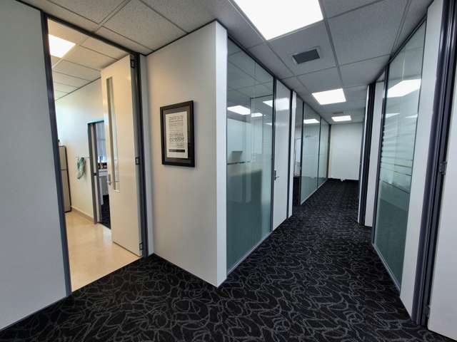 61-63 Saint Lukes Road Mt Albert_2