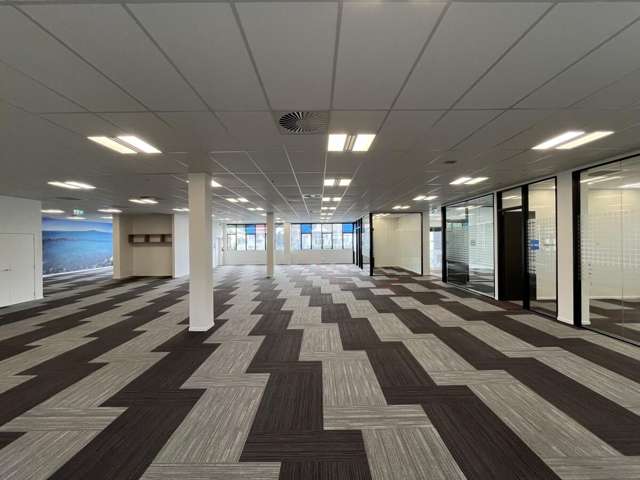 4 Murdoch Road Grey Lynn_3