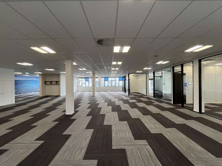 4 Murdoch Road Grey Lynn_3