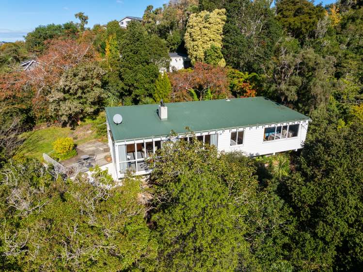 61 Braeview Crescent Maori Hill_21