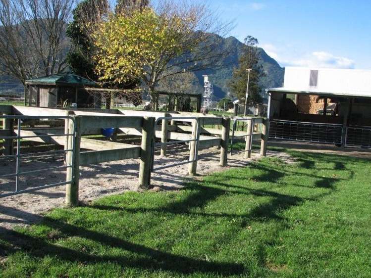 44 Racecourse Road Te Aroha_13
