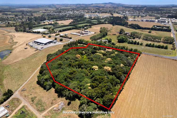 150 Whangarata Road Tuakau_19