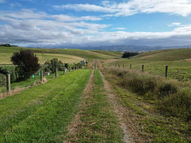 3/220 Taieri Peak Road Palmerston_2