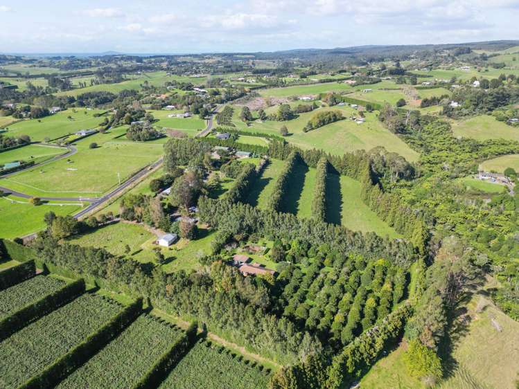 482B Esdaile Road Whakamarama_13