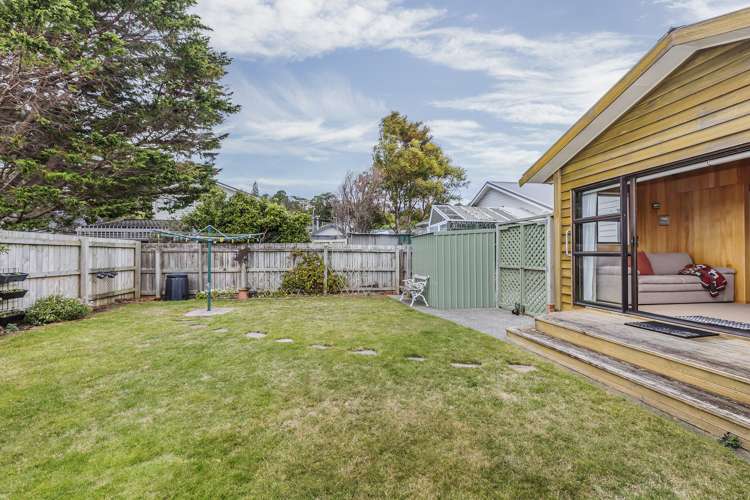 77 Devonshire Road Miramar_11