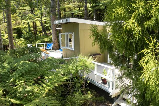 101-103 Lone Kauri Road Karekare_4