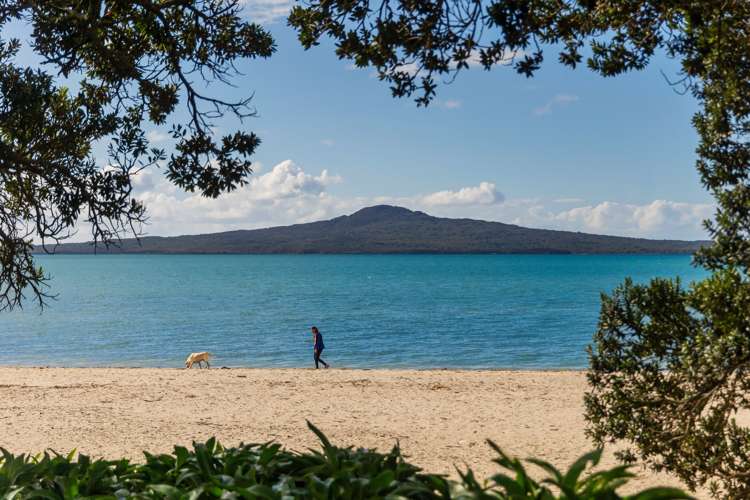 291a Tamaki Drive Kohimarama_6