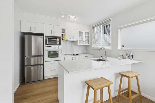 1/1 Cottleville Terrace Thorndon_4