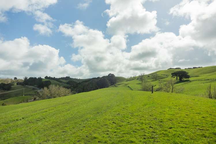 Lot 2 Boler Road Tauhoa_8