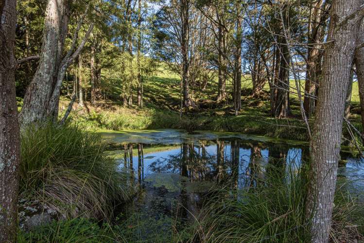 43 Waiariki Road Whakapara_22