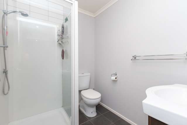 217a Killarney Road Frankton_4