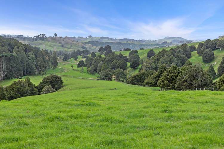 895 Wairamarama Onewhero Road Onewhero_7