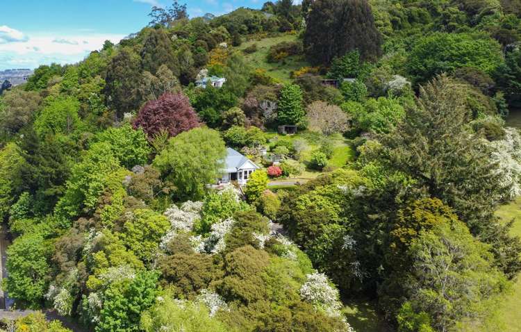 42 & 44 Crown Street North East Valley_25