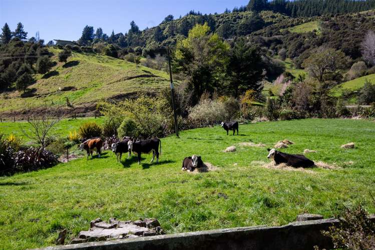 312 Lud Valley Road Hira_43