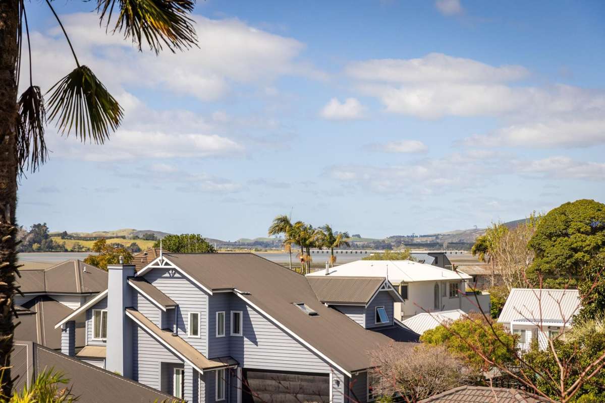39A Harvey Street_5