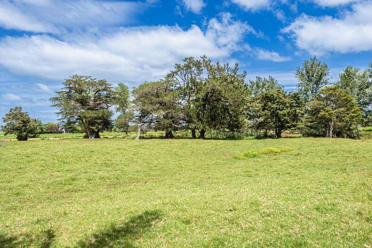 35 Thorburn Road Ruatangata_29