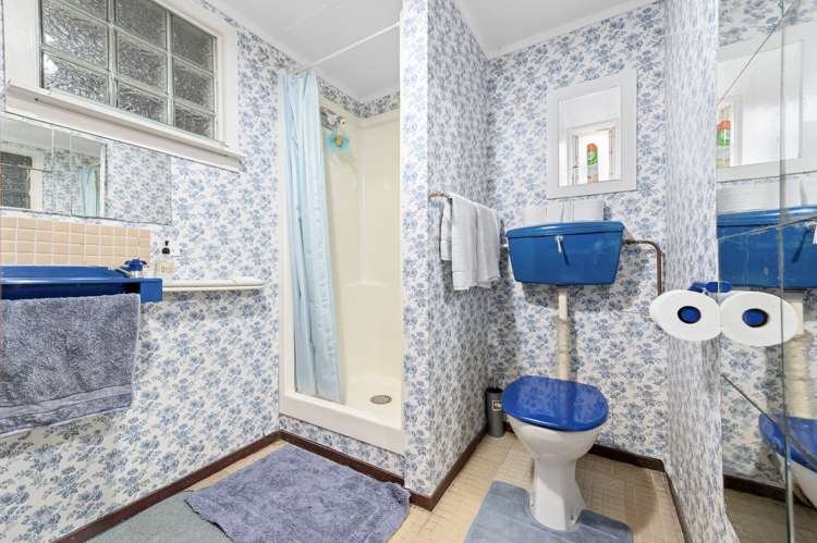 88 Poaka Avenue Dinsdale_21