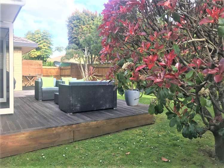 4 Lothian Brae Wattle Downs_19