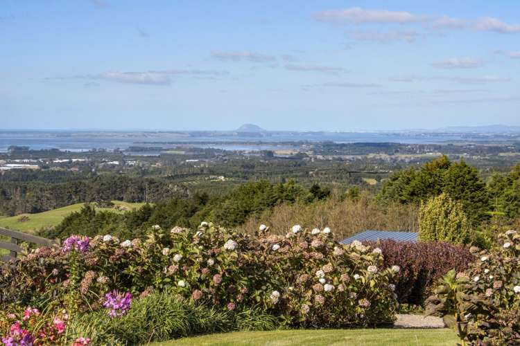 413C Busby Road Katikati Western Bay Of Plenty Houses for Sale
