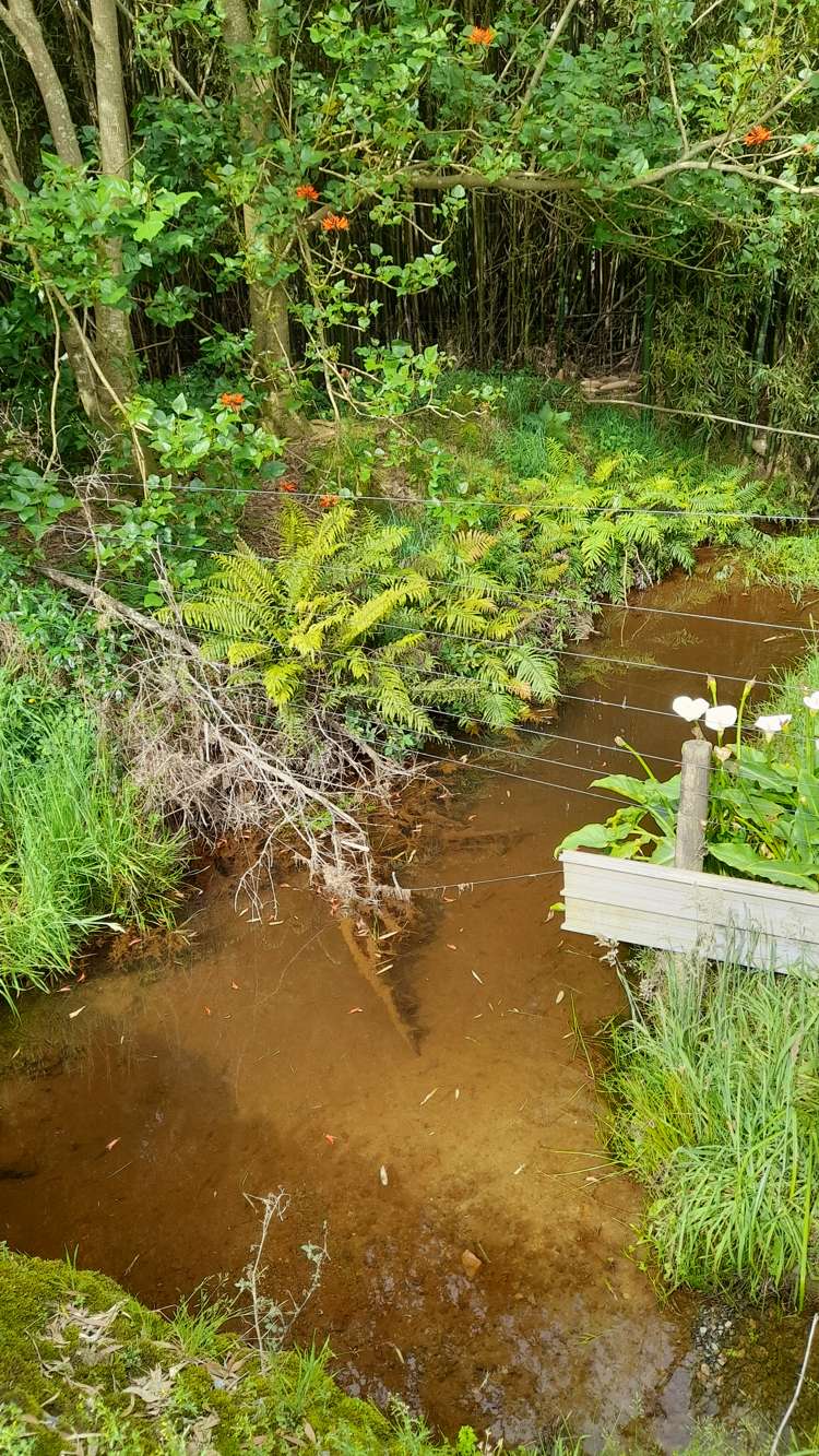 418 Martin Road Kaeo_41