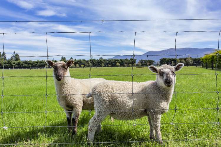 671 Browns Rock Road Oxford_14