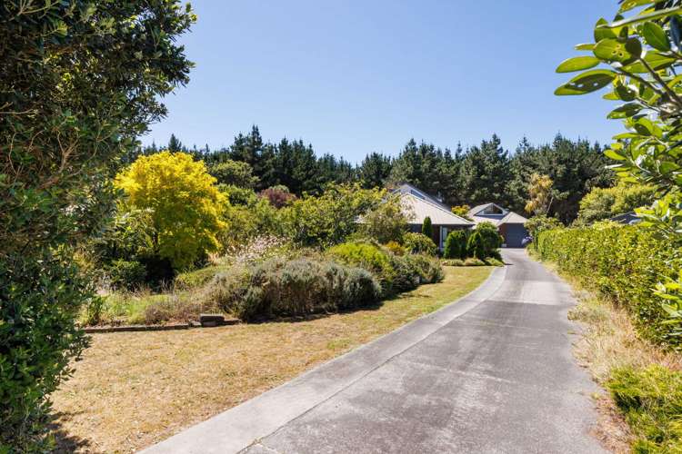 11 Ferry Street Foxton Beach_16