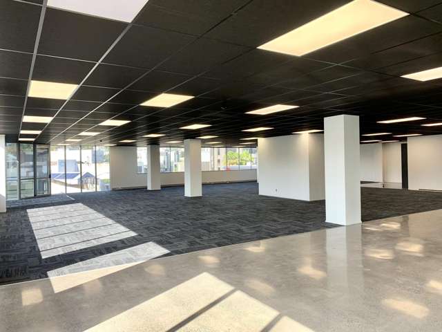 2 Hargreaves Street Freemans Bay_3