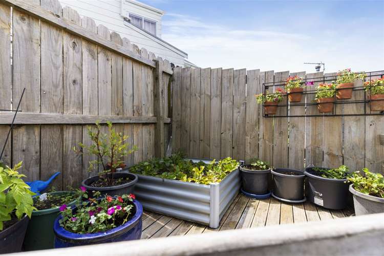 10a De Thiery Place Pakuranga Heights_29