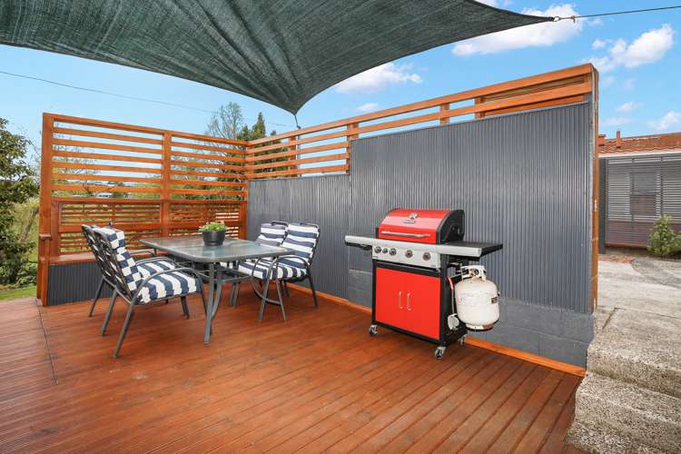 297 Douglas Avenue Te Awamutu_20