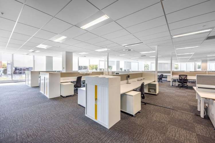 27 Napier Street Freemans Bay_21