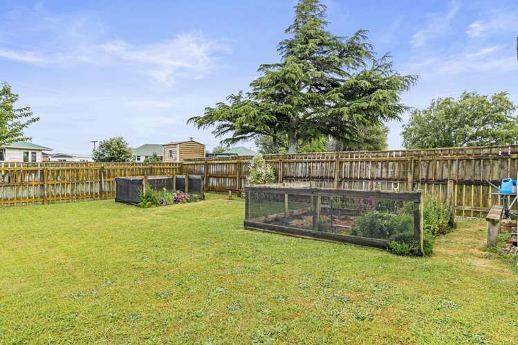 5 Ventura Grove Bulls_12