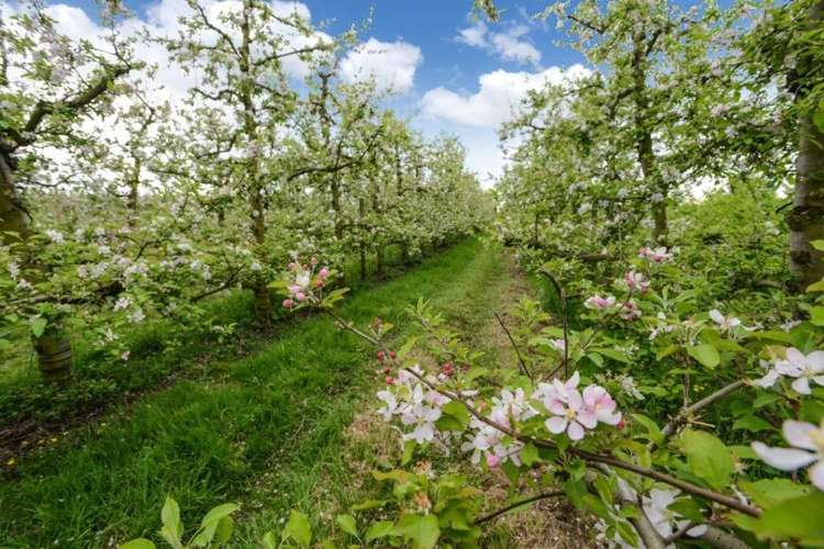 147 Thompson Road Twyford_13