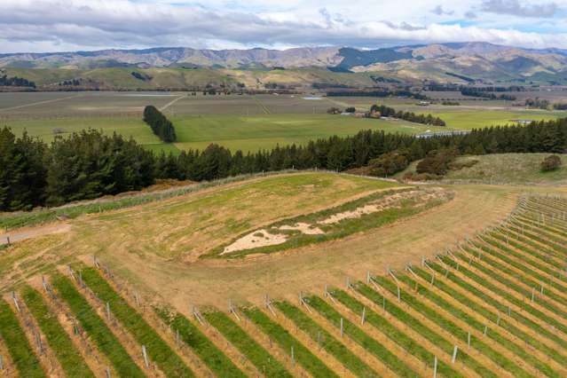 Delta Lake Heights Renwick_1