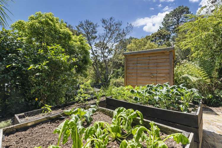 9/7 Balmain Road Birkenhead_5