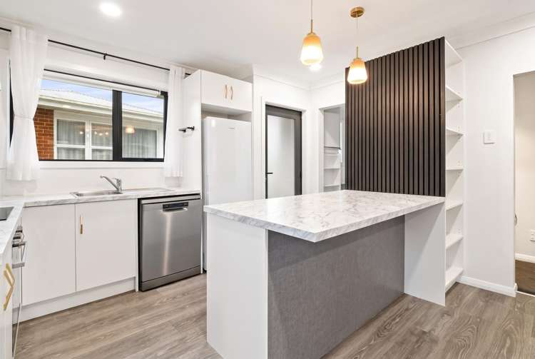 111 Norwood Street Normanby_3
