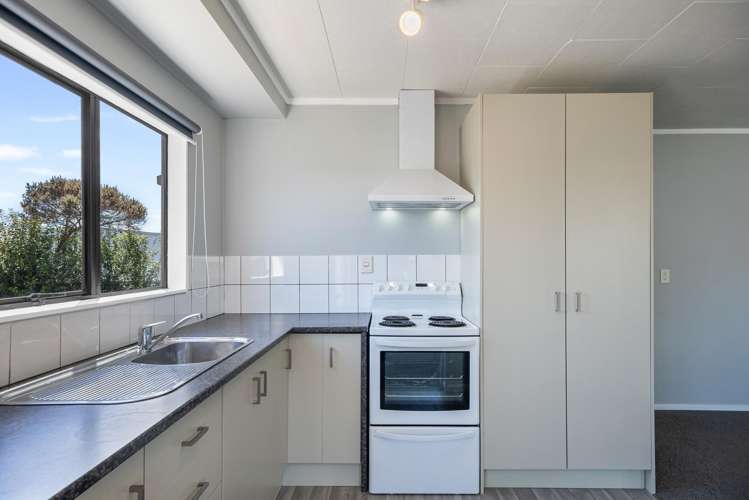 96a Mako Mako Road Levin_2