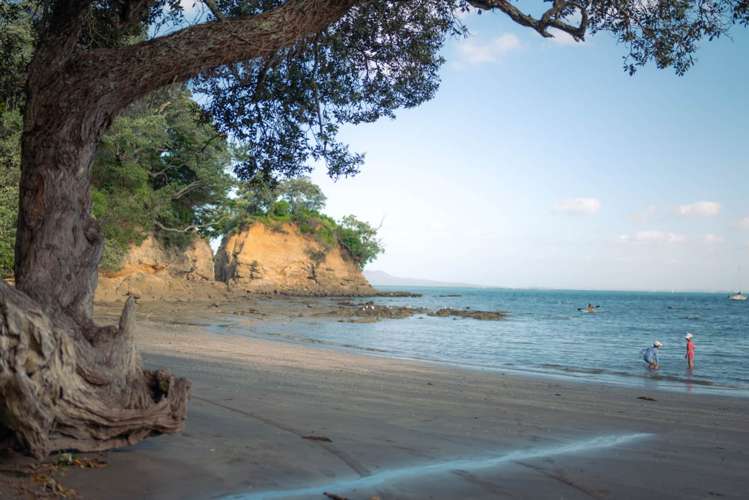 39b Watea Road Torbay_44