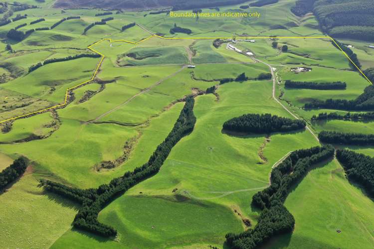 906 Waimahaka Fortification Road Fortification_18