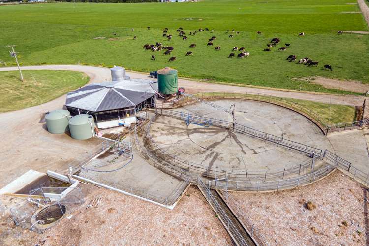 165 Dawsons Road Eiffelton_4