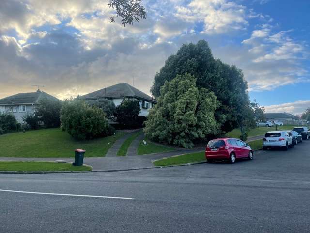 17 Merfield Street Glen Innes_1