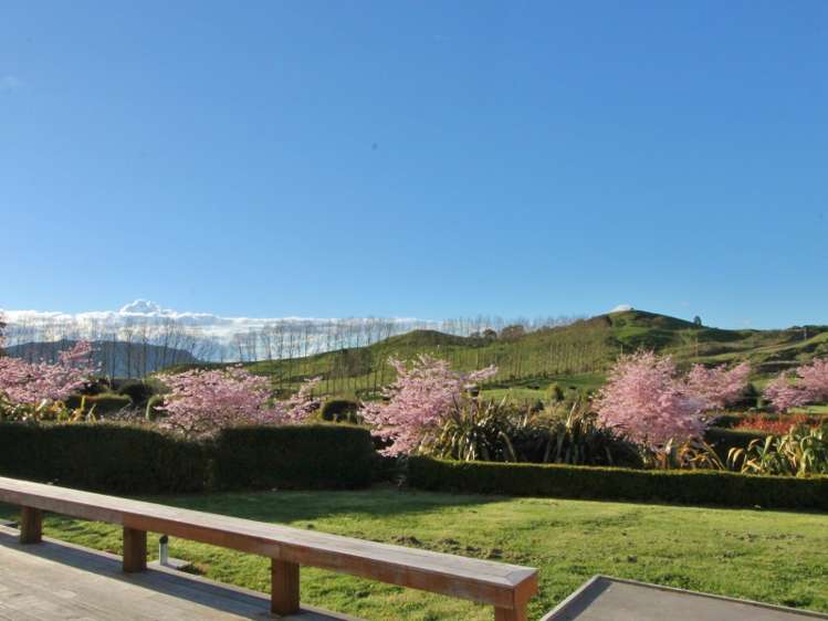 83 Dalmore Way Acacia Bay_15