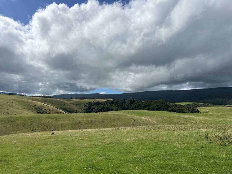 300 Waterhouse Road Orepuki_12